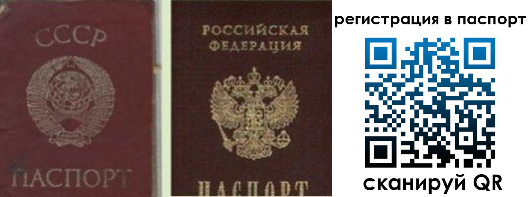 прописка для работы в Змеиногорске